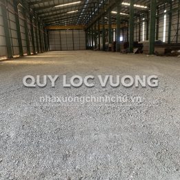 Ảnh đại diện