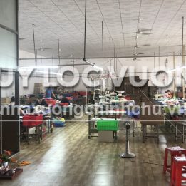 Ảnh đại diện