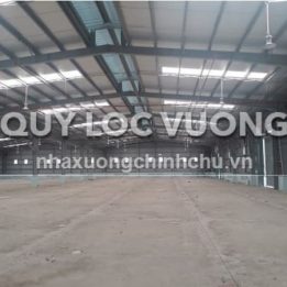 Ảnh đại diện