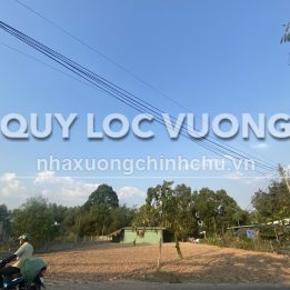 Ảnh đại diện
