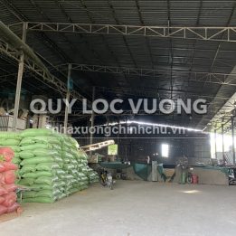 Ảnh đại diện